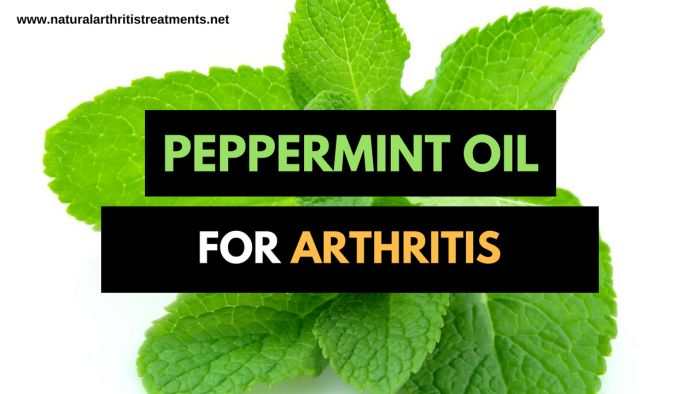 4 Ways Peppermint Oil Can Benefit in Arthritis