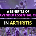 6 Proven Benefits of Lavender Essential Oil in Arthritis