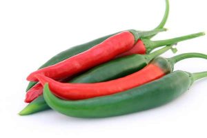 chilli1