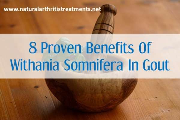 withania somnifera for gout